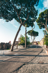 Fototapete - A typical landscape of Rome with tall trees and ancient buildings