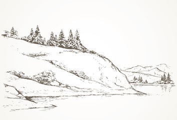 Wall Mural - Firs on hill above river. Vector drawing