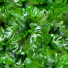 Seamless Green Tropical Jungle Plant Leaves Pattern Background. Close Up Of Bouquets Of Various Fresh Palm And Monstera Greenery. Summer Texture.