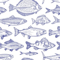 Seamless pattern with fish hand drawn with contour lines on white background. Backdrop with marine animals or aquatic creatures living in sea, ocean, freshwater pond. Monochrome vector illustration.