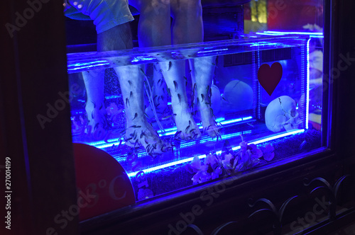 Fish That Eat Dead Skin For Sale - facial scrub Fish That Eat Dead Skin For Sale - facial scrub