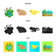 Vector illustration of wildlife and bog logo. Collection of wildlife and reptile stock vector illustration.