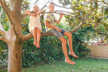 Siblings sitting on a tree in a summer garden