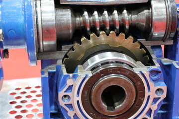 cross section of worm gear pump ;