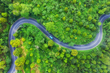 aerial view on road in the forest. highway throu the forest. view from a drone. natural landscape in