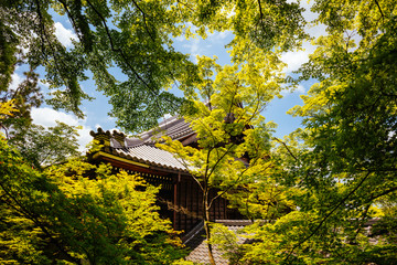 Canvas Print - Eikando Temple in Kyoto Japan