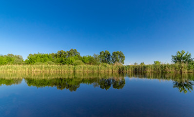 The blue sky and the trees on the shore are reflected in the water at sunset.