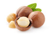 Macadamia with kernel nuts in closeup