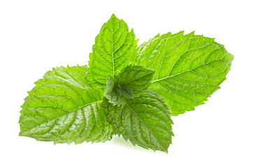 Sticker - Mint leaves in closeup