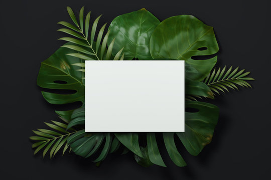 Green tropical flowers and empty paper sheet on black background. 3D rendering.