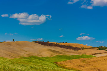 Tuscany landscape