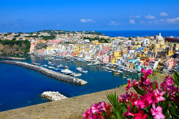 Wall Mural - Colorful island town in Italy. Above view overlooking Procida from a flower filled terrace.