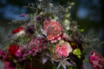 Wall Mural - composition of pink and red roses on a blurred background.