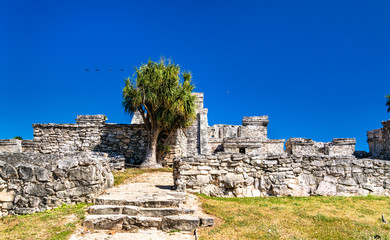 Sticker - Ancient Mayan ruins at Tulum in Mexico