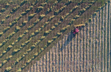 Wall Mural - Aerial image of tractor with hay tedders