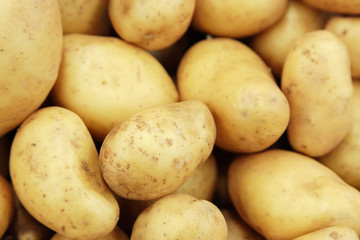 Raw potatoes closeup group