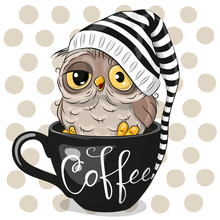 Cartoon Owl Is Sitting In A Cup Of Coffee