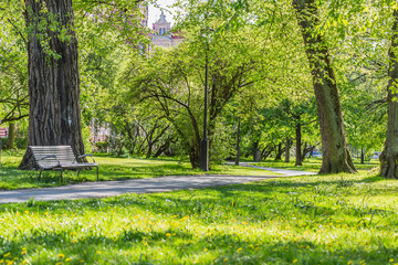 Fresh green grass field and walking path in outdoor park