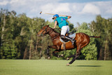 Fototapeta Konie - Horse polo player hit the ball with a mallet in action. Profile side view