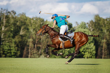 Horse polo player hit the ball with a mallet in action. Profile side view
