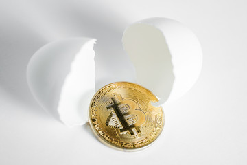 Wall Mural - The concept of the emergence or discovery of Bitcoin. Coin on a white background with an egg chopped shell.