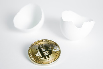 Wall Mural - The concept of the emergence or discovery of Bitcoin. Coin on a white background with an egg shell.