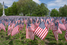 Flag Field In Boston For Memorial Day.