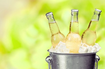 Wall Mural - Beer Bottles in Bucket with ice cubes isolated on white