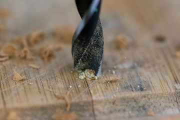 Wall Mural - Close up of drill that pierces the wood. sawdust flies away