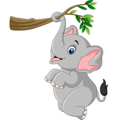  Cartoon funny elephant playing on a tree branch