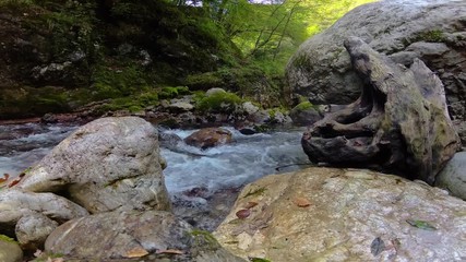 Sticker - Mountain gorge with stones and snag. Scene at Triglav national park in Slovenia, Europe