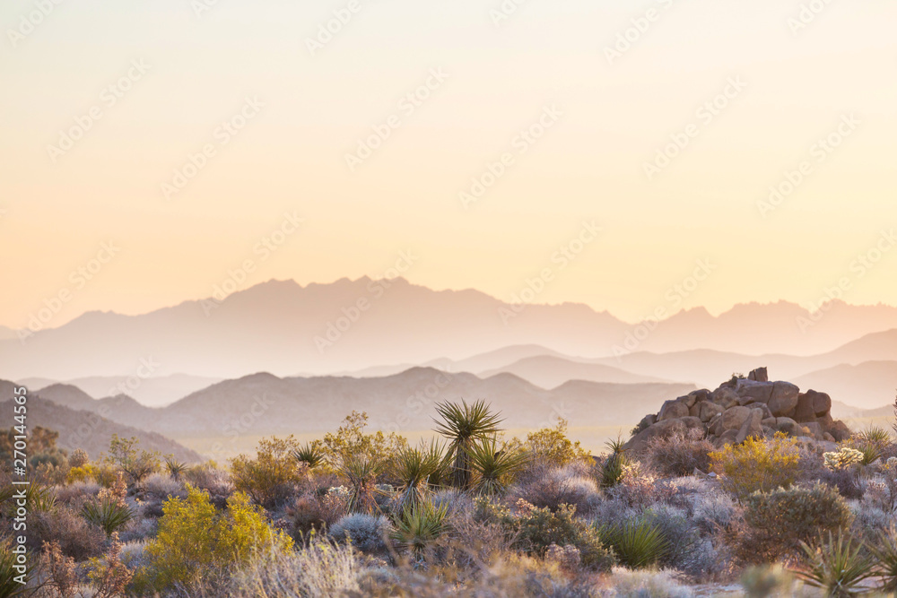 Arizona landscapes - obrazy, fototapety, plakaty 