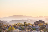 Arizona landscapes