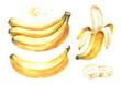 Fresh ripe yellow banana elements set. Watercolor hand drawn illustration, isolated on white background