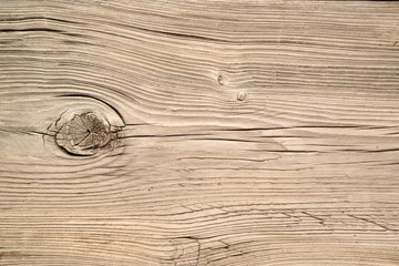 Wood eye of timber vintage old wood texture and background surface.