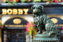 Weeping Over Greyfriars Bobby