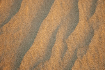 Wall Mural - Ripples in the golden sand 