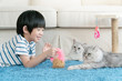 © lalalululala - Cute Asian child playing with two cats