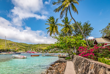 Fototapete - Beautiful landscape of Bequia with palm trees along the waterfront.