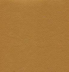 Canvas Print - An image of a nice leather background. Cowhide texture.