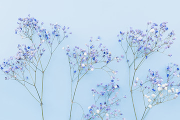 Wall Mural - Fresh small blue flower twigs