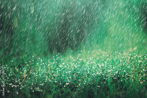 Heavy Rain Shower On Meadow Background With Sparkle And Bokeh Raining In Nature Backdrop Buy This Stock Photo And Explore Similar Images At Adobe Stock Adobe Stock