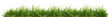 Leinwandbild Motiv Fresh green grass isolated against a white background