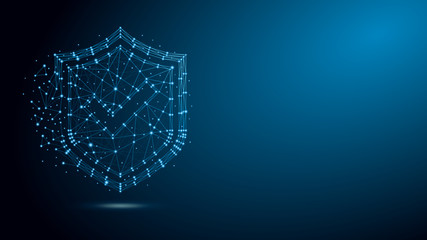Security shield with checkmark and network structure