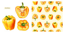 Yellow Bell Pepper Isolated On White Background. Watercolor Seamless Pattern Of Vegetables, Raw Yellow Pepper. Hand-drawn Healthy Food.
