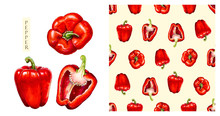 Red Bell Pepper Isolated On White Background. Watercolor Seamless Pattern Of Vegetables, Raw Red Pepper. Hand-drawn Healthy Food.