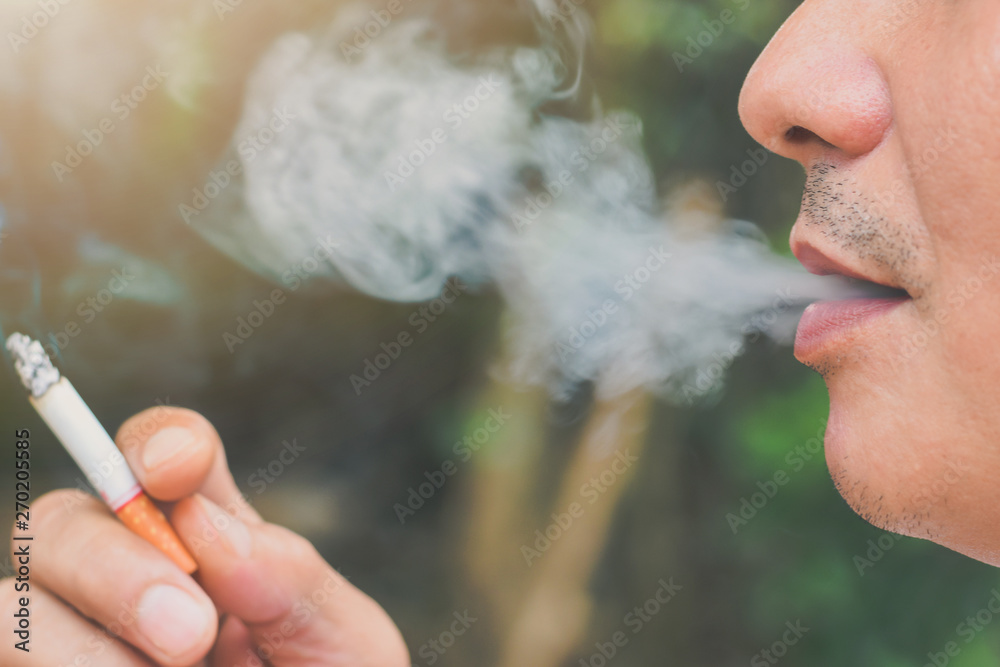finest tobacco in the world Cigar World Spotlight: European Tobacco & Cigars