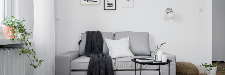 Canvas Print - Gray sofa and coffee table