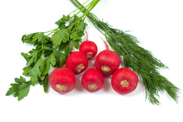 Fresh radishes, green dill and parsley isolated on white background. Salad composition. Healthy food conception