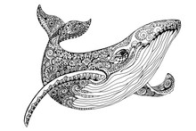 Illustration Whale For Adult Anti Stress Coloring Pages. Ornamental Tribal Patterned Illustration For Tattoo, Poster Or Print. Hand Drawn Monochrome Sketch. Sea Animal Collection.